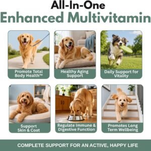 Alternative view of Organic Dog Vitamins, 1 Lb, 45 Scoops