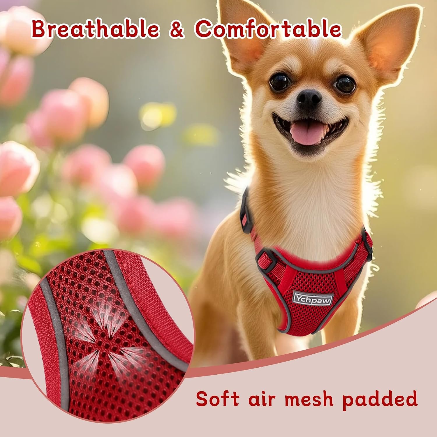 Small Dog Harness and Leash Set, Adjustable Small Sized Pet Vest - Image 5