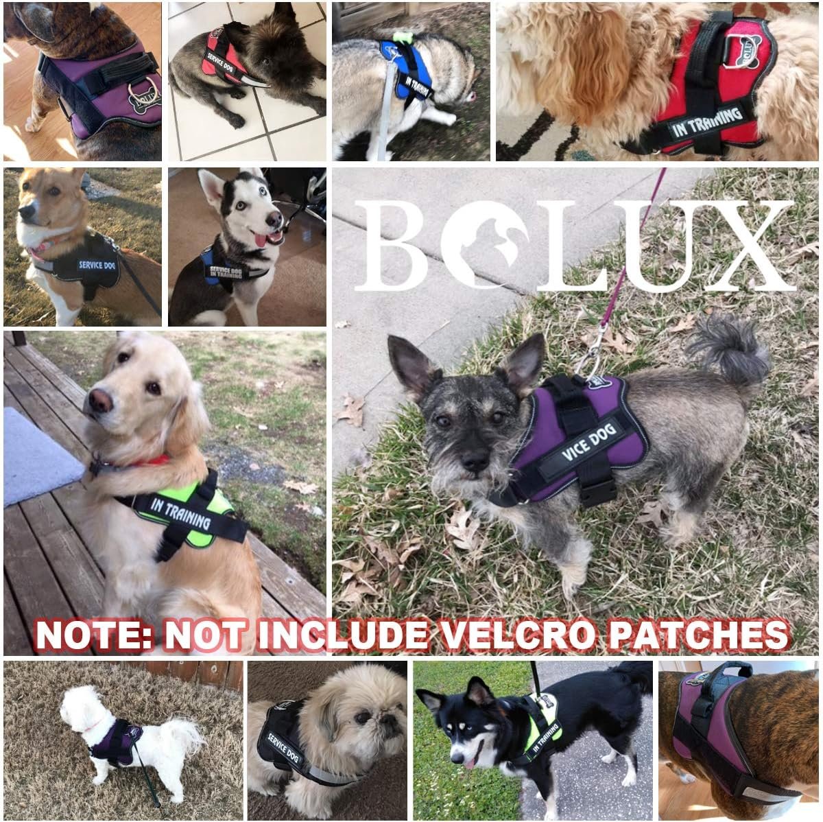 Bolux Dog Harness, No-Pull Reflective Dog Vest, Breathable Adjustable Pet Harness with Handle for Outdoor Walking - No More Pulling, Tugging or Choking (Blue, S) - Image 7