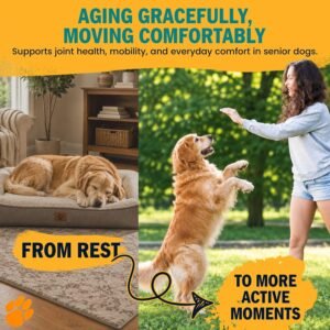 Alternative view of 1-TDC Dual Action Joint & Gum Support Soft Gels for Dogs & Cats - 30 ct