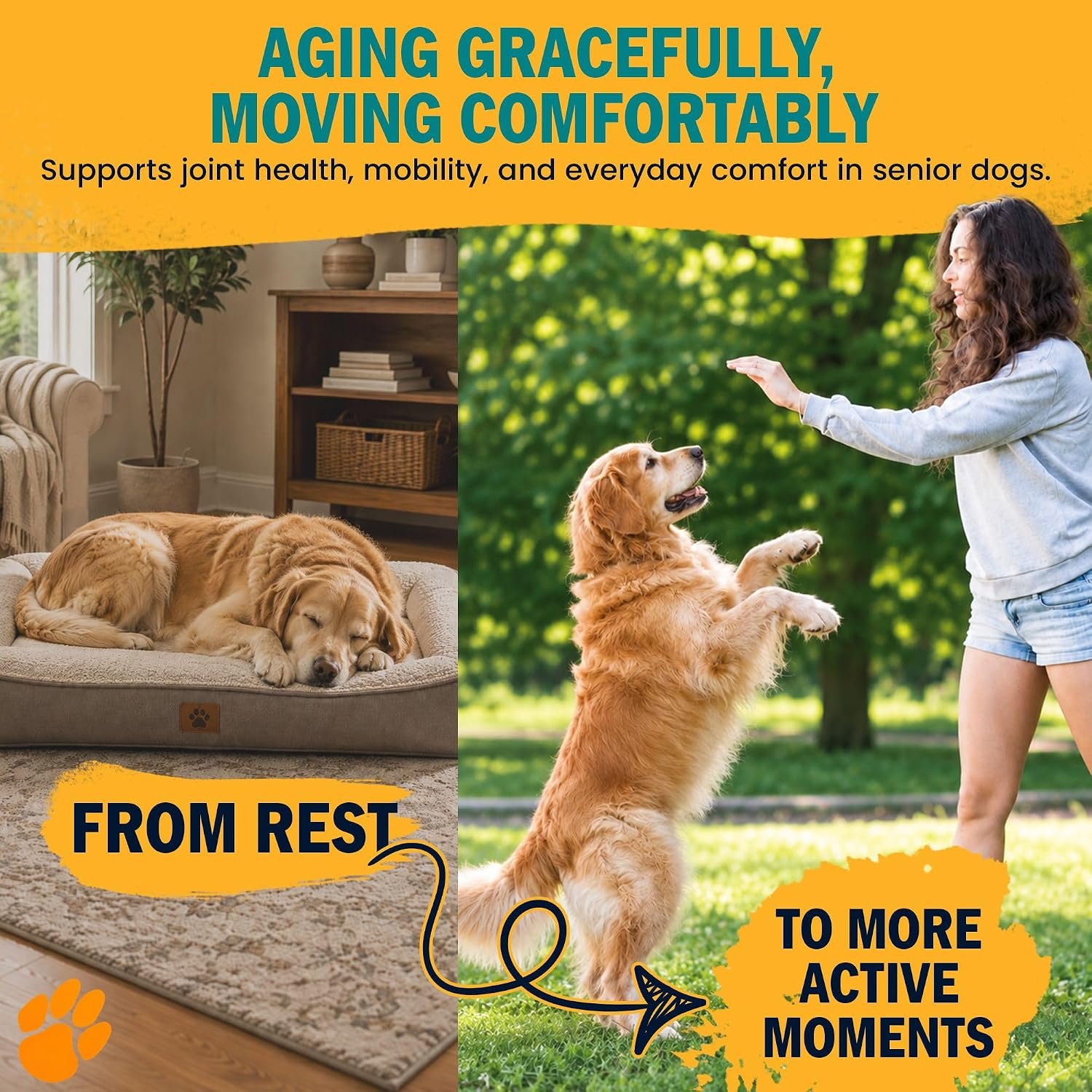 1-TDC Dual Action Joint & Gum Support Soft Gels for Dogs & Cats - 30 ct - Image 2
