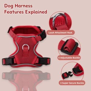 Alternative view of Small Dog Harness and Leash Set, Adjustable Small Sized Pet Vest