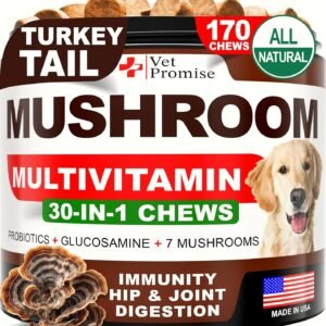 Turkey Tail Mushroom for Dogs - 170 Chews - Mushroom Supplement for Dogs