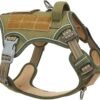 Tactical Dog Harness for Medium Dogs No Pull, Famous TIK Tok No Pull Dog Harness, Fit Smart Reflective Pet Walking Harness for Training, Adjustable Dog Vest Harness with Handle Green M