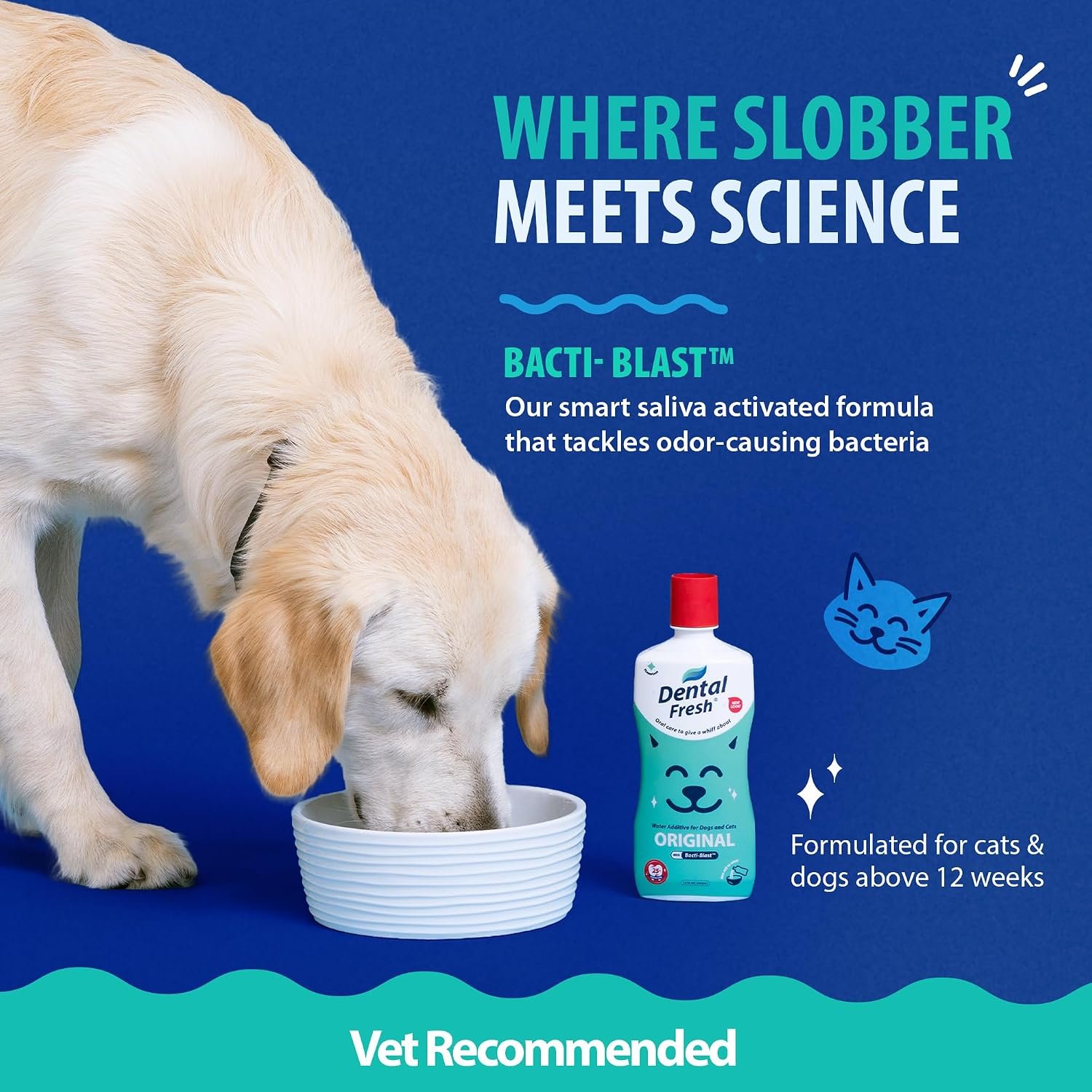 Dental Fresh Water Additive Flavorless Dental Care for Dogs & Cats 8 fl oz - Image 5
