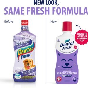 Alternative view of Dental Fresh Advanced Plaque & Tartar Support Water Additive, 32 fl oz