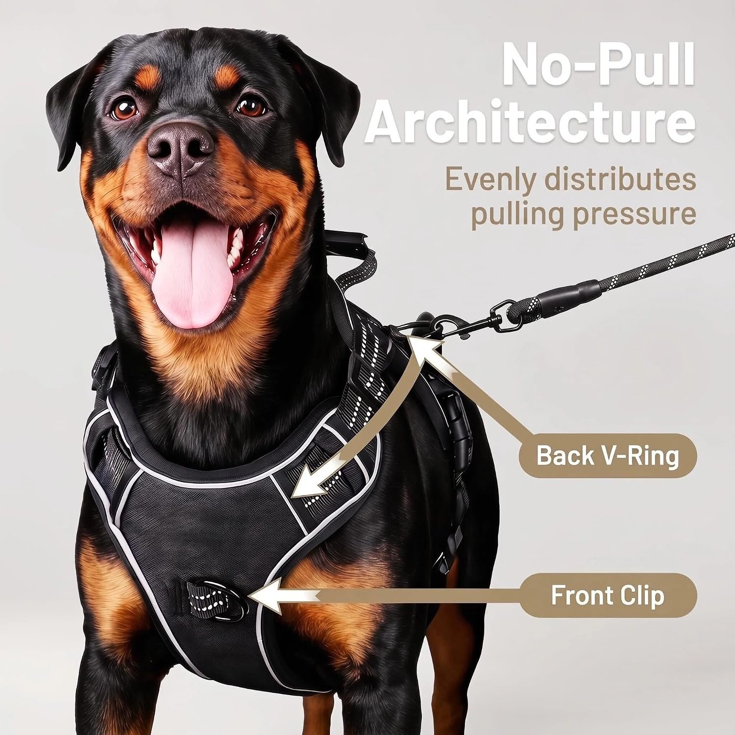 Dog Harness and Leash Set for Large Dogs, No Pull Tactical Dog Harness, Service Dog Vest with Name Patches, Adjustable Reflective Military Dog Harness with Handle & MOLLE for Training, Black, L - Image 3