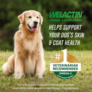 Alternative view of Nutramax Welactin Omega-3 Fish Oil Supplement for Dogs, Softgel Caps, 120ct