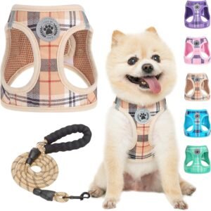 Small Dog Harness and Leash Set, No Pull Puppy Pet Vest- Beige, S