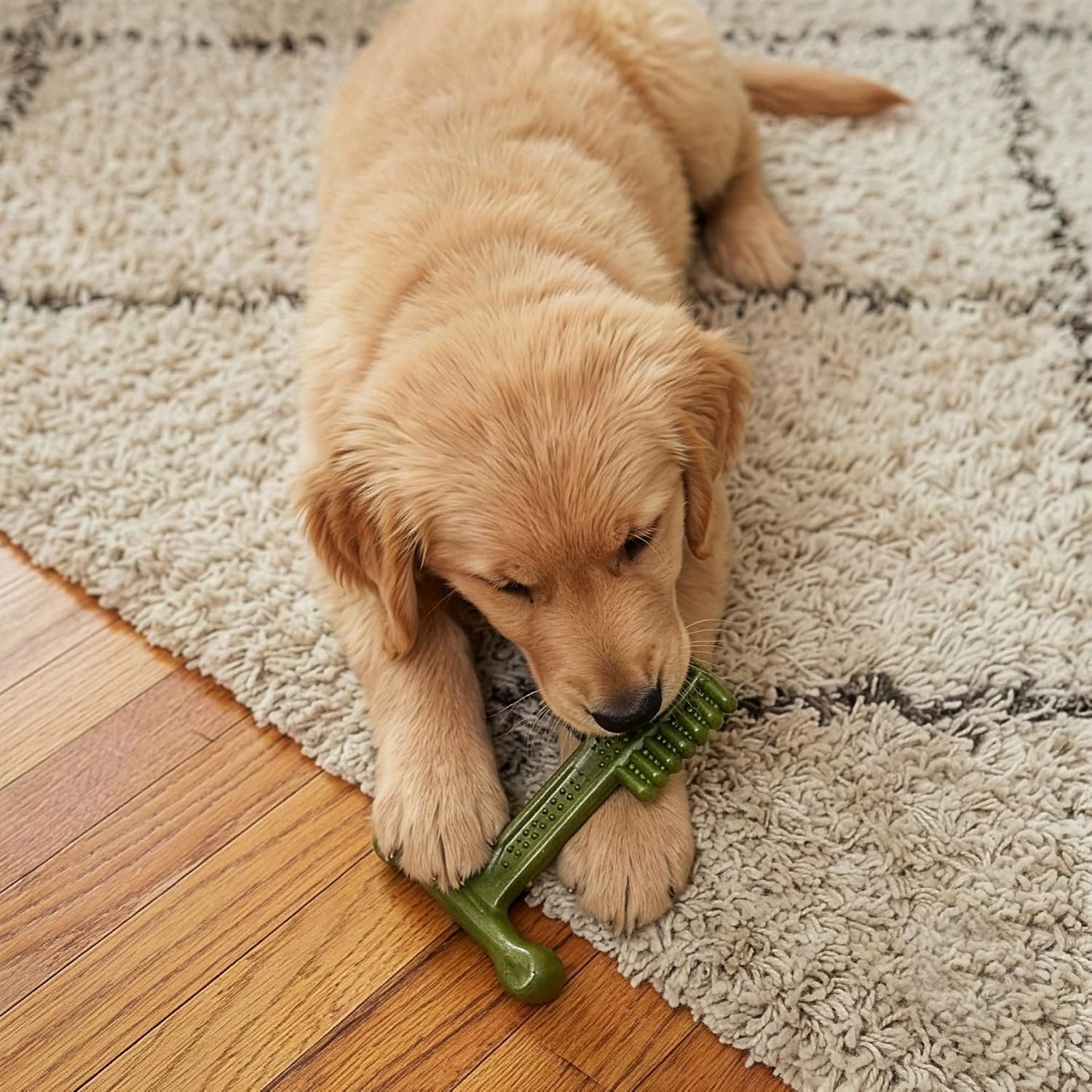 SPOT Bam-Bones Plus Toothbrush Dog Chew Toy for Small Dogs 10–30 lbs, Bamboo & Nylon Dental Chew with Mint & Baking Soda, Cleans Teeth & Freshens Breath, for Moderate to Heavy Chewers, 4 Inch - Image 11
