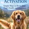 Canine Vagus Nerve Activation: Simple Ways to Boost Your Dog’s Health and Happiness