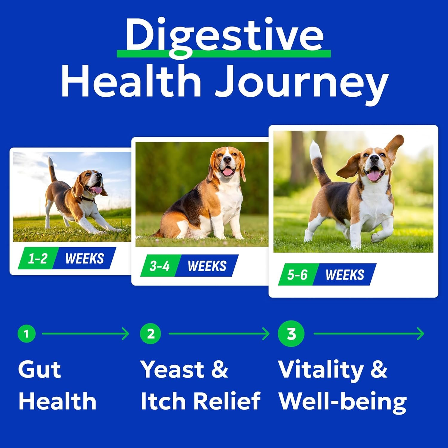 BARK&SPARK Probiotics for Dogs, Digestive Health Chews with Fiber & Enzymes - Image 4