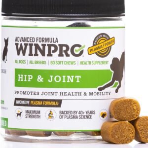Hip & Joint Supplement for Dogs - Plasma Powered Soft Chews for Joint Health & Mobility – Fast-Acting with Collagen & Natural Ingredients for Dogs of All Breeds – 60 Chews