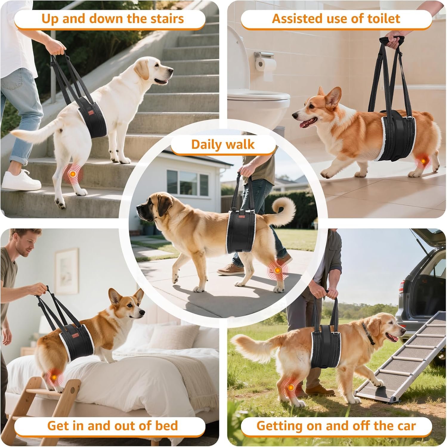 LOOBANI Dog Lift Harness Rear Leg Support for Large Dogs Secure Belly Wrap - Image 9
