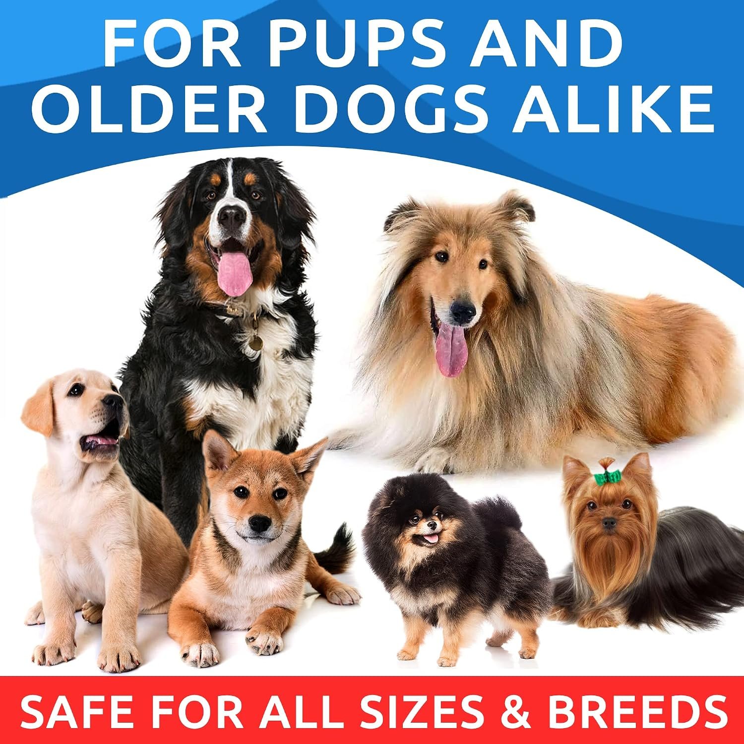 BARK&SPARK Fish Oil Omega 3 for Dogs - Skin & Coat, Itch&Allergy Support - Image 7