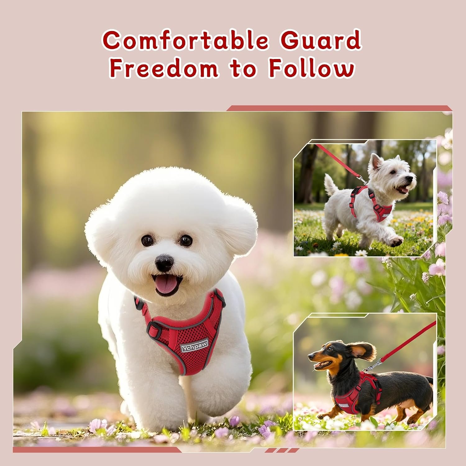 Small Dog Harness and Leash Set, Adjustable Small Sized Pet Vest - Image 7