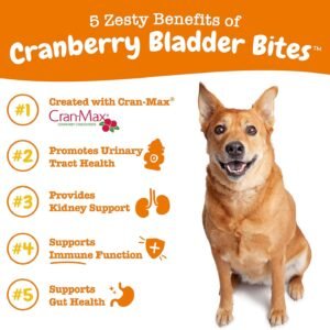 Alternative view of Zesty Paws Cranberry Supplement for Dogs - Bacon, 90 Ct