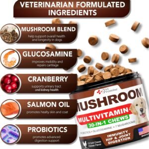 Alternative view of Turkey Tail Mushroom for Dogs - 170 Chews - Mushroom Supplement for Dogs
