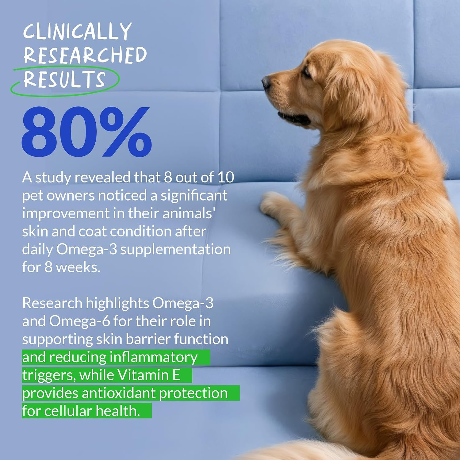 Dog Omega 3 Fish Oil Skin and Coat Supplement for Dry Skin & Allergy Relief - Image 3