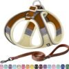 Medium Dog Harness and Leash Set, Step-in Puppy Pet Vest, Beige M