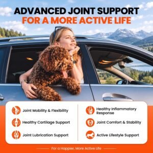 Alternative view of Dog Joint Supplement for Dogs 70ct, Glucosamine Chondroitin for All Dogs