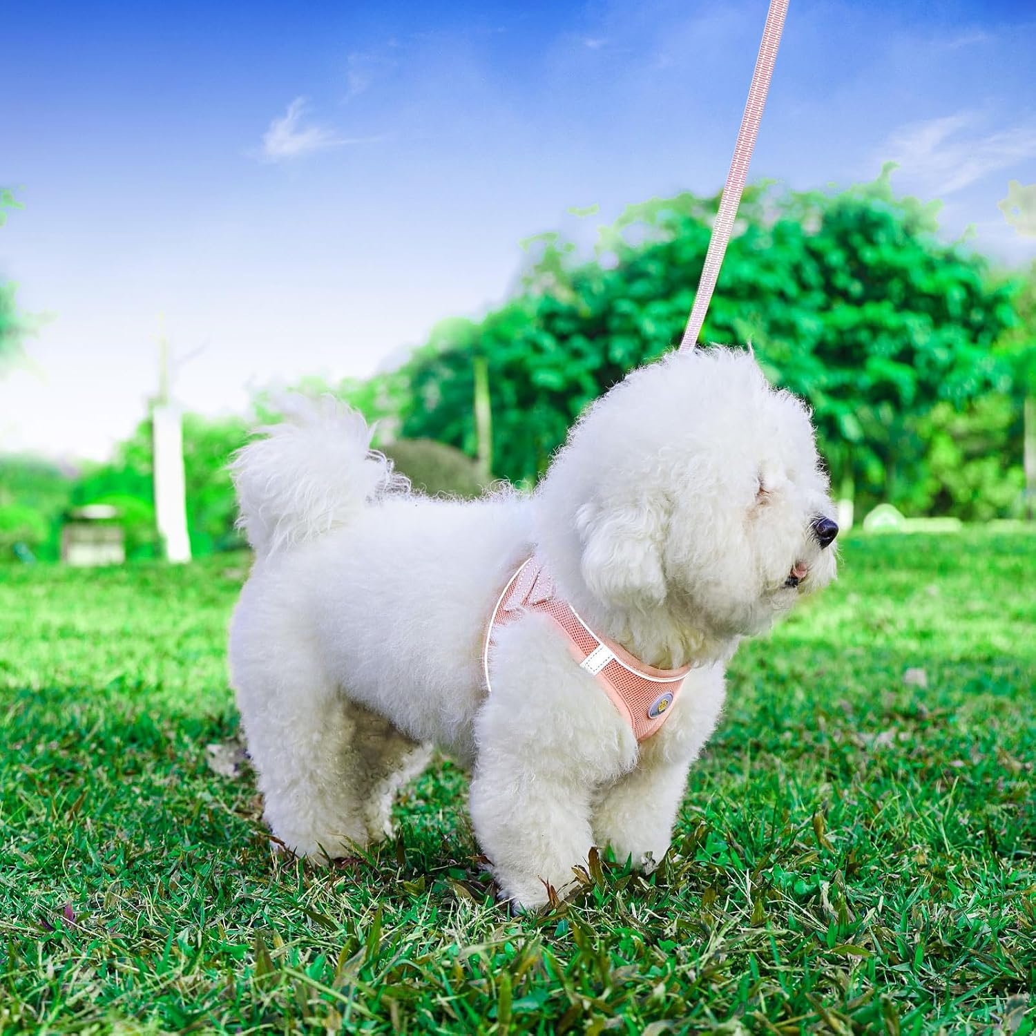 Hipubby Dog Harness and Leash Set, No Pull Soft Mesh Puppy Harness for Small Medium Dogs, Cats - Step in Reflective Breathable Lightweight Vest Harness for Walking, Training - Pink, M - Image 2