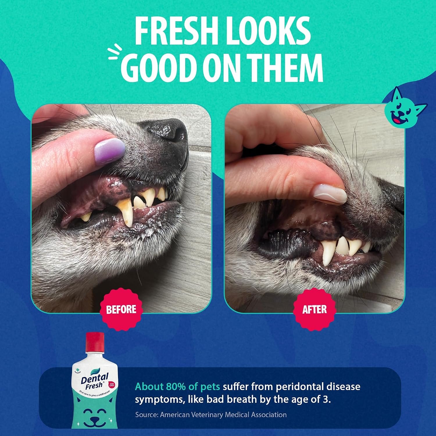 Dental Fresh Water Additive Flavorless Dental Care for Dogs & Cats 8 fl oz - Image 4