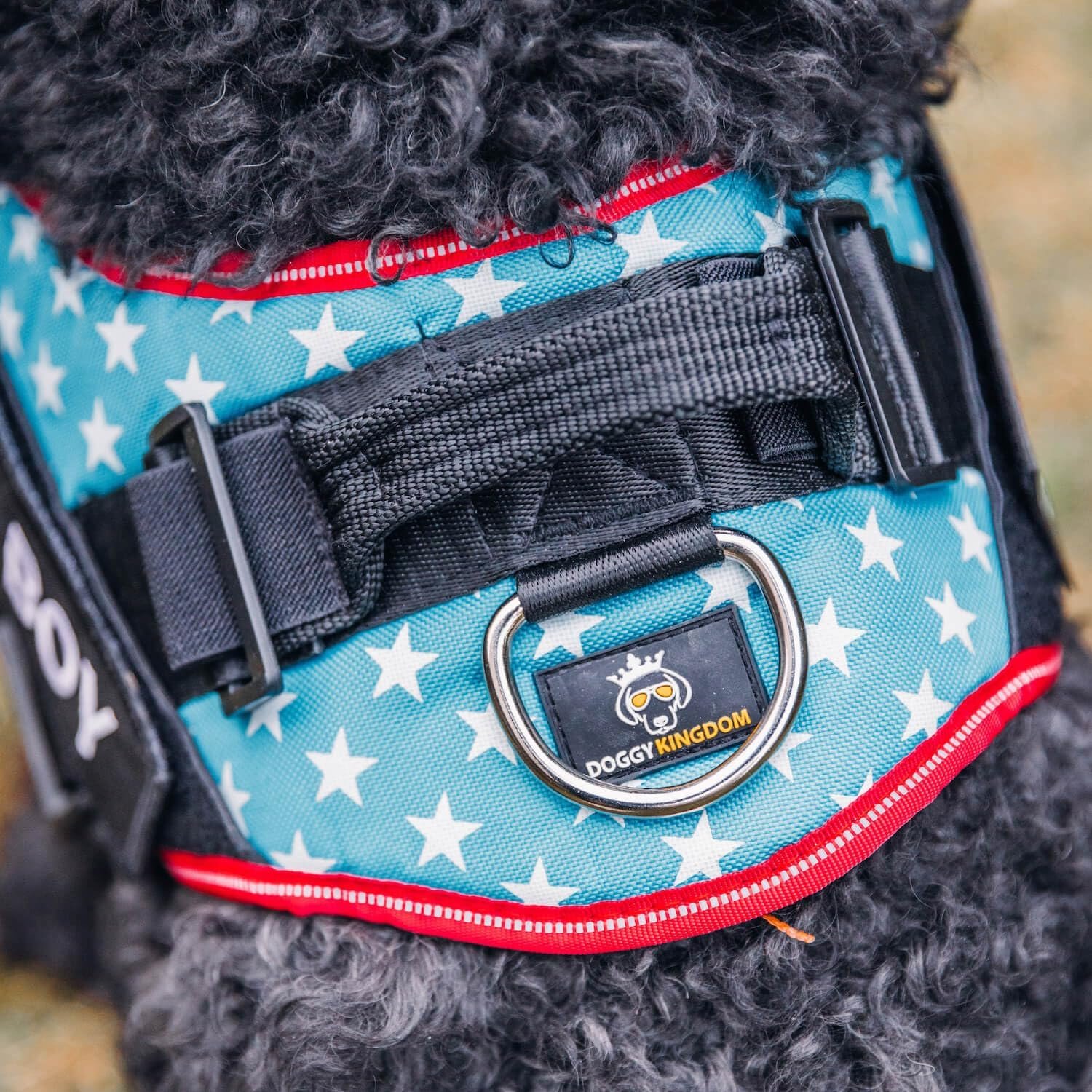 Personalized Dog Harness with Custom Name Patches, Adjustable Reflective No Choke Dog Vest with Handle for Medium Sized Dog, Blue, M - Image 7
